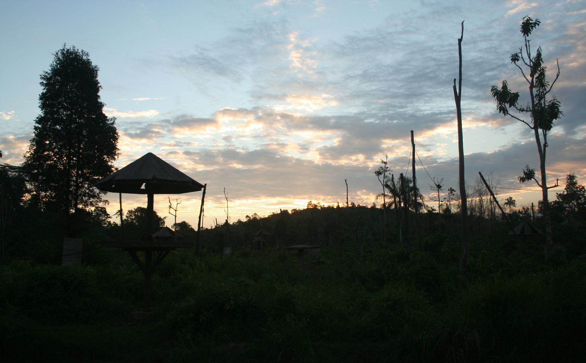 Samboja Lodge Balikpapan  Extérieur photo