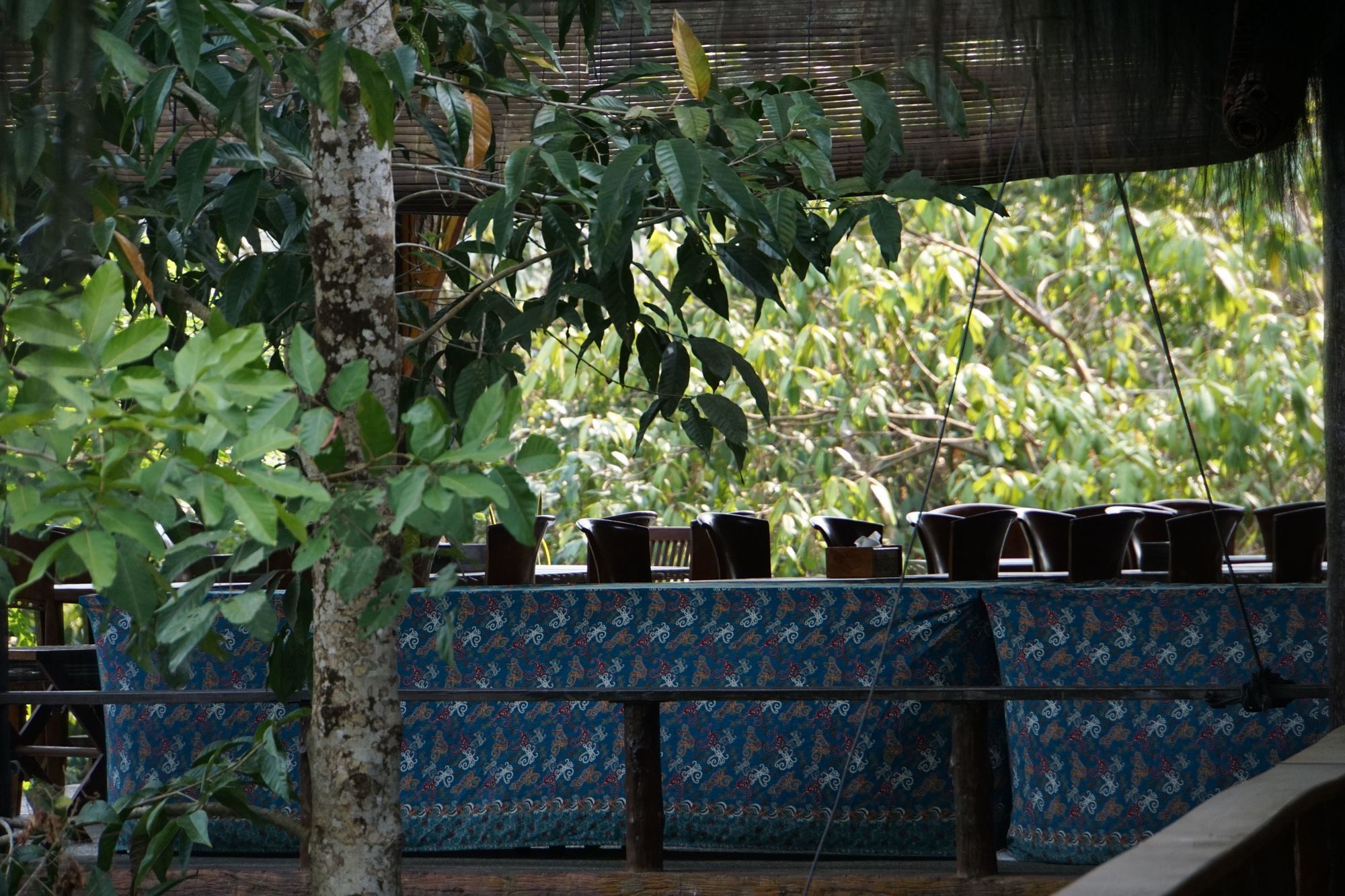 Samboja Lodge Balikpapan  Extérieur photo