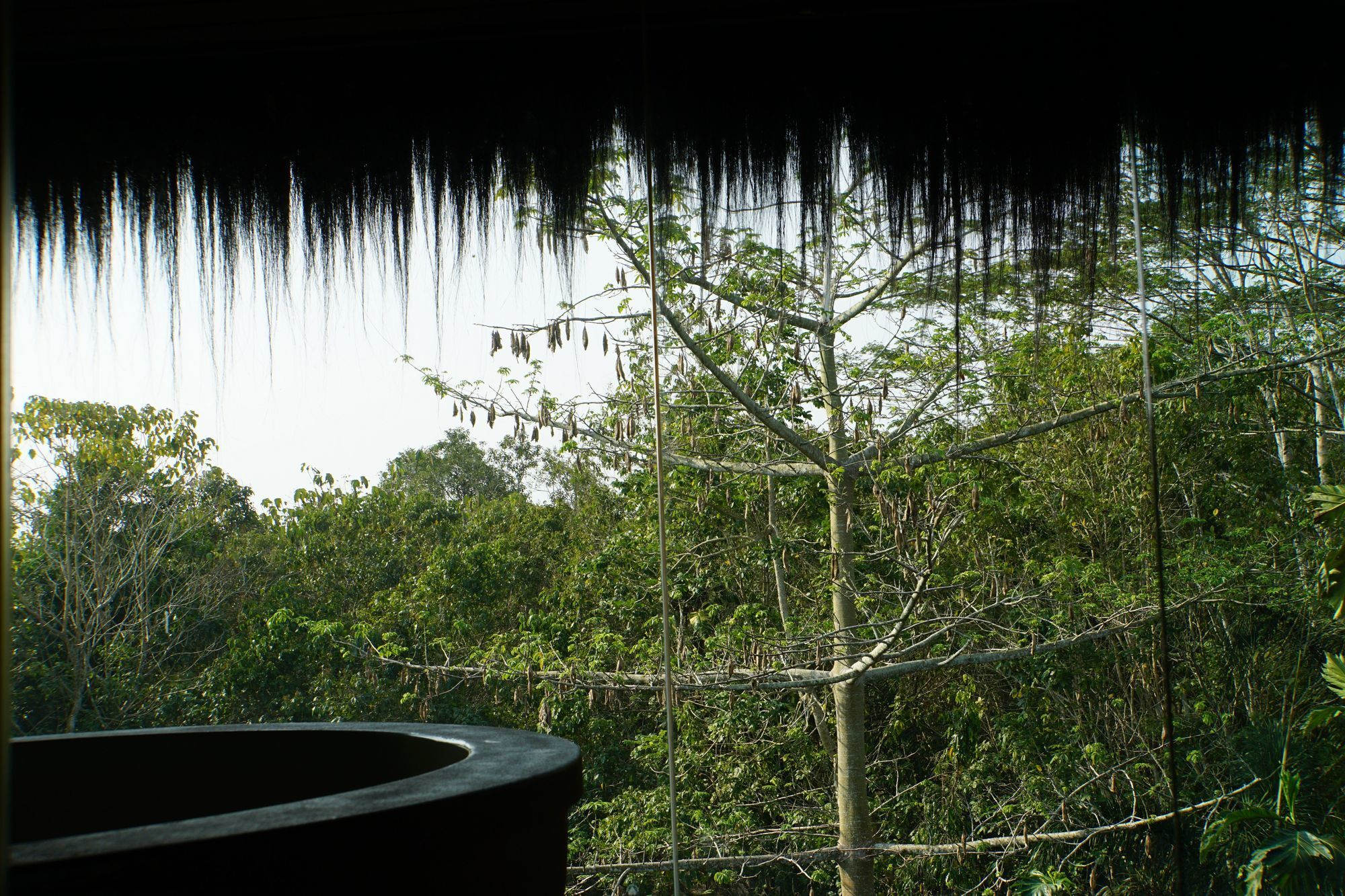 Samboja Lodge Balikpapan  Extérieur photo