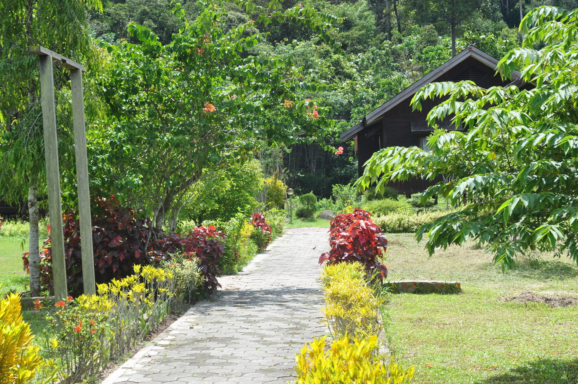 Samboja Lodge Balikpapan  Extérieur photo