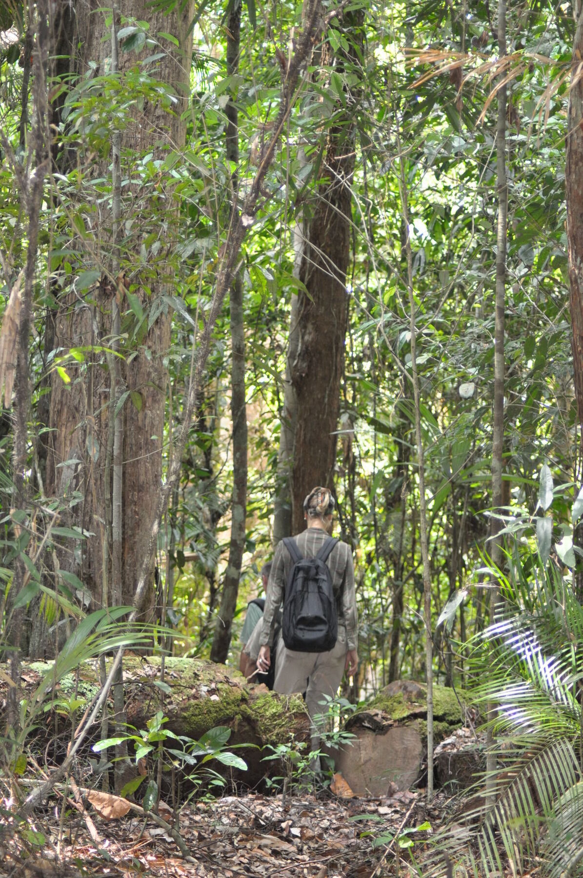 Samboja Lodge Balikpapan  Extérieur photo